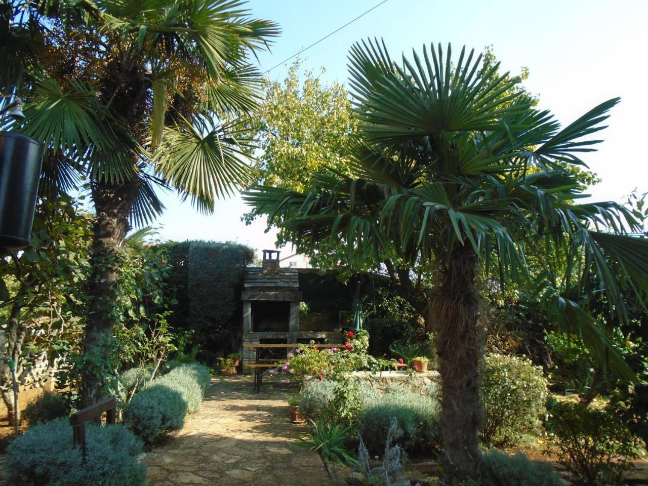 Villa Maria Novigrad  Екстер'єр фото