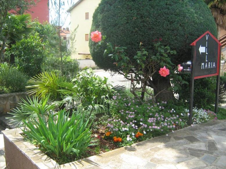 Villa Maria Novigrad  Екстер'єр фото