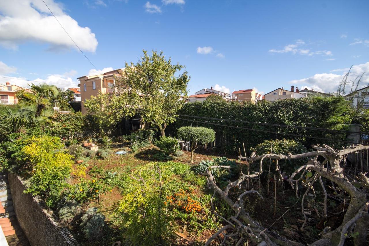 Villa Maria Novigrad  Екстер'єр фото